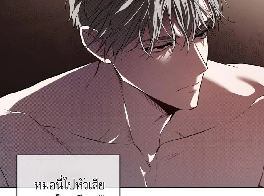 หน้า 52 จาก 193