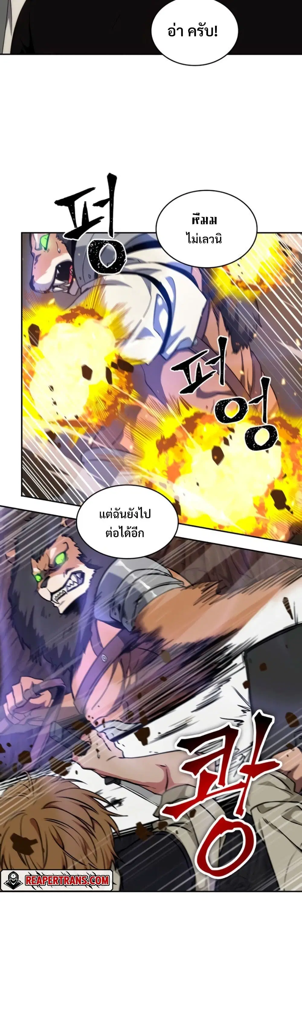 หน้า 13 จาก 40