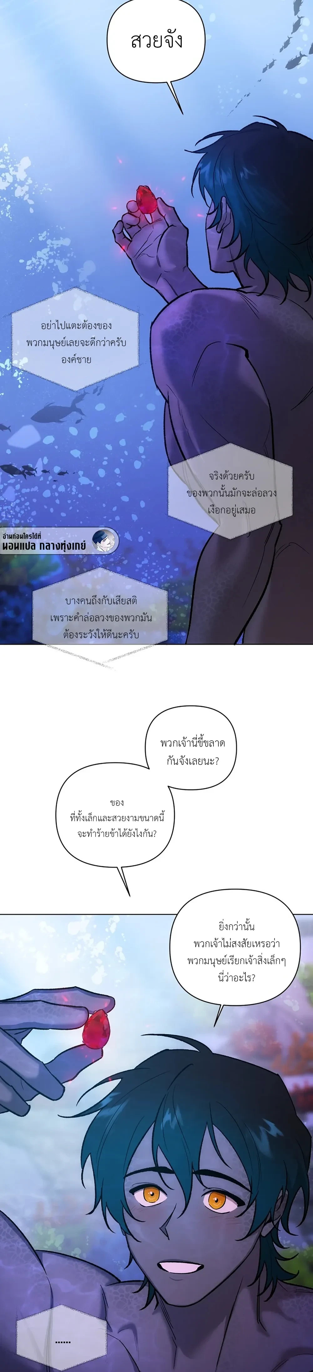 หน้า 4 จาก 30