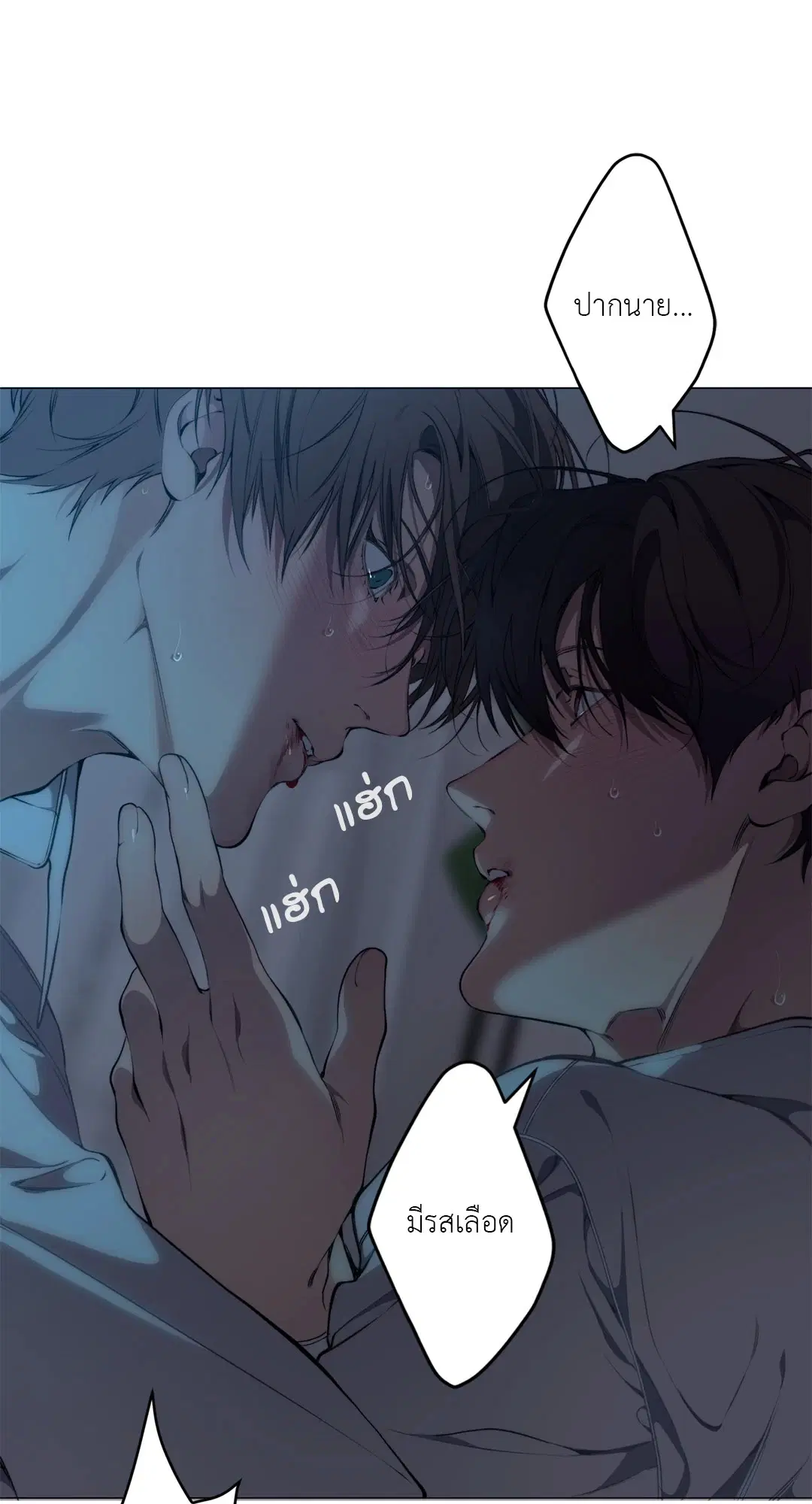 หน้า 13 จาก 56