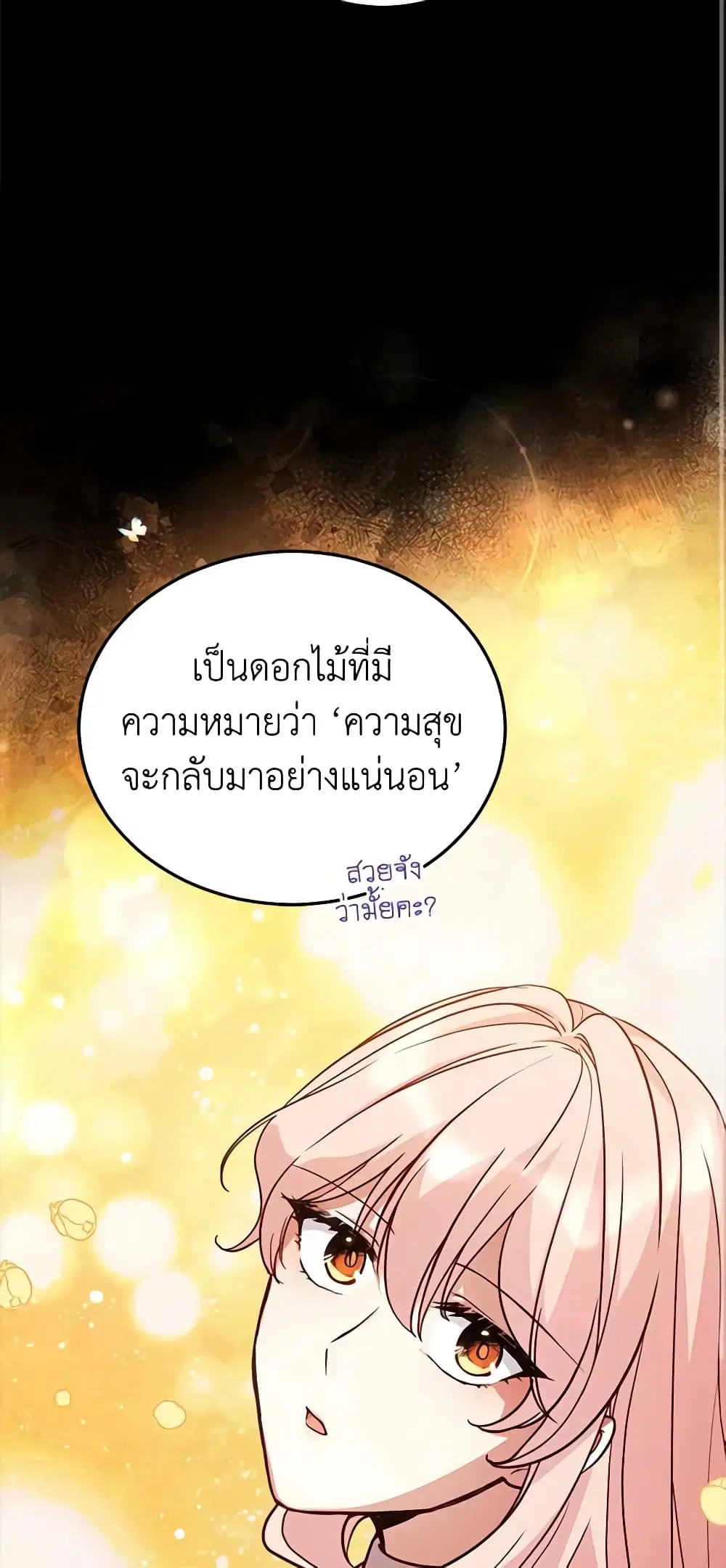 หน้า 23 จาก 41