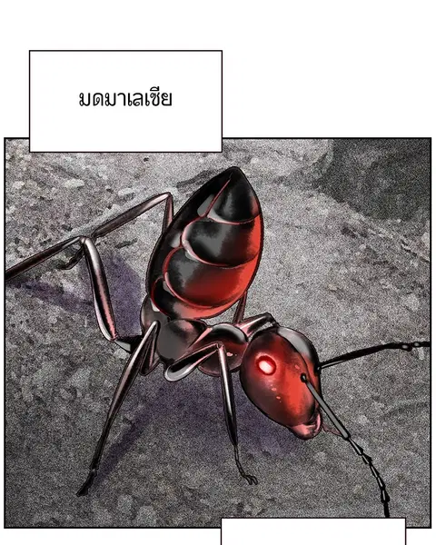 หน้า 29 จาก 143