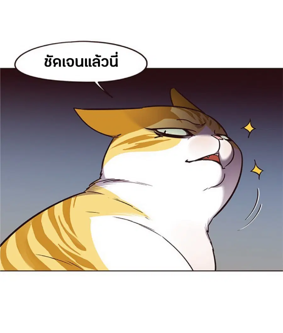 หน้า 51 จาก 81