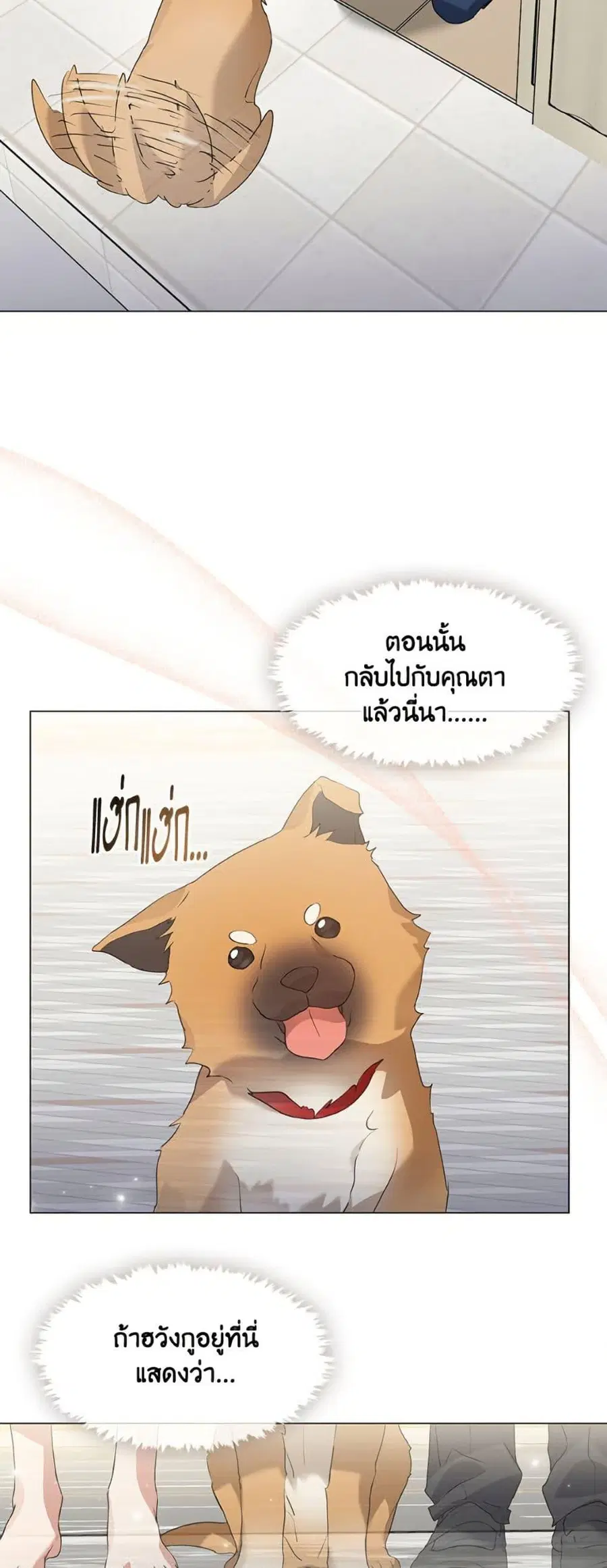 หน้า 12 จาก 52
