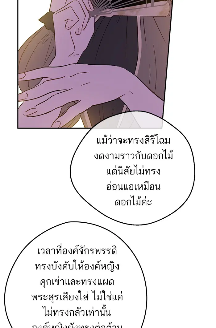 หน้า 29 จาก 73