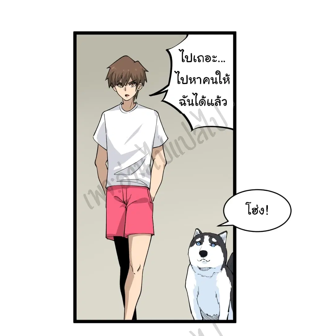 หน้า 3 จาก 32