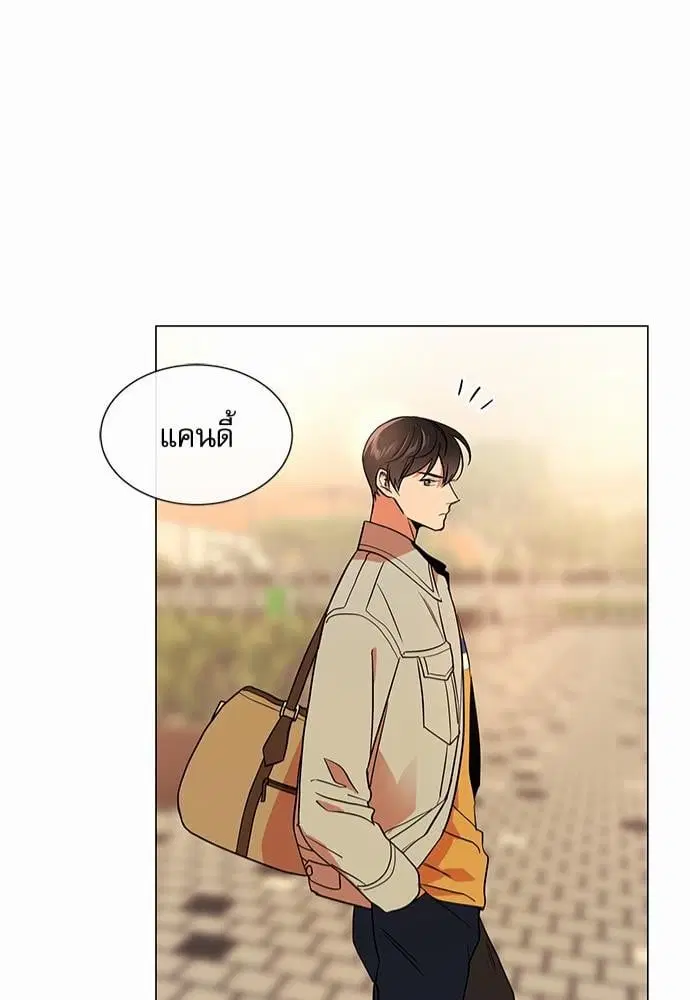 หน้า 41 จาก 75