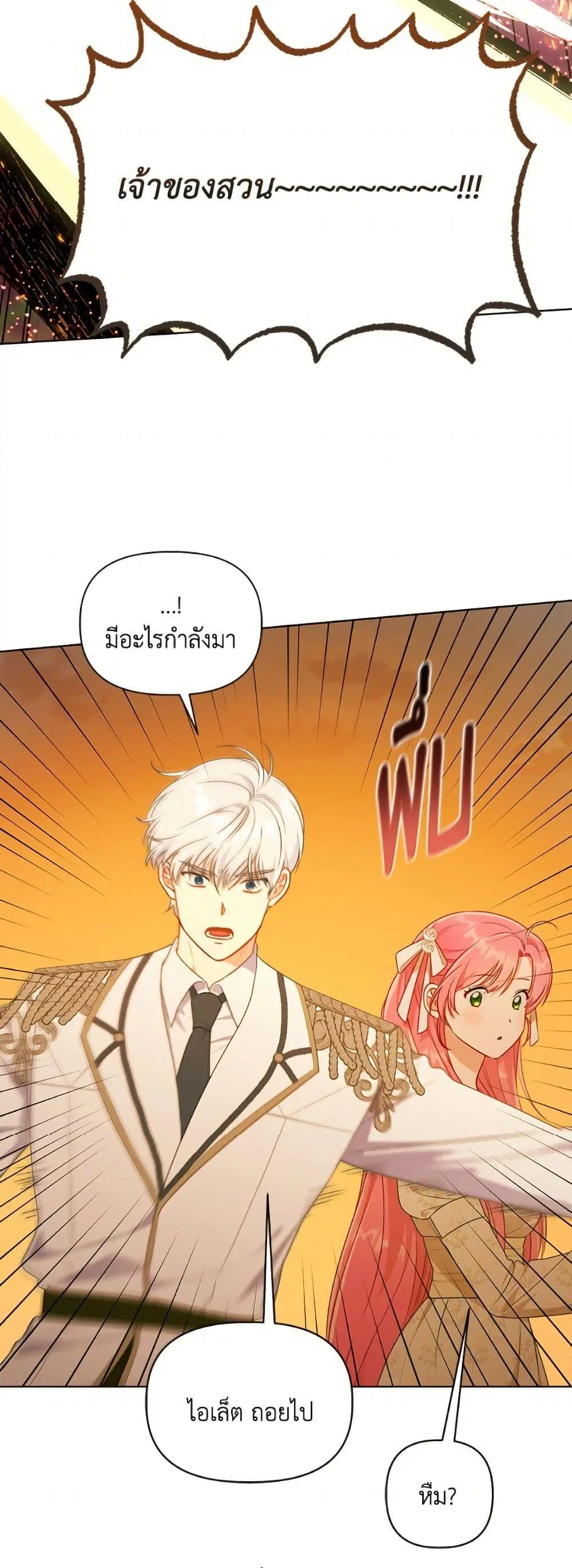 หน้า 49 จาก 52