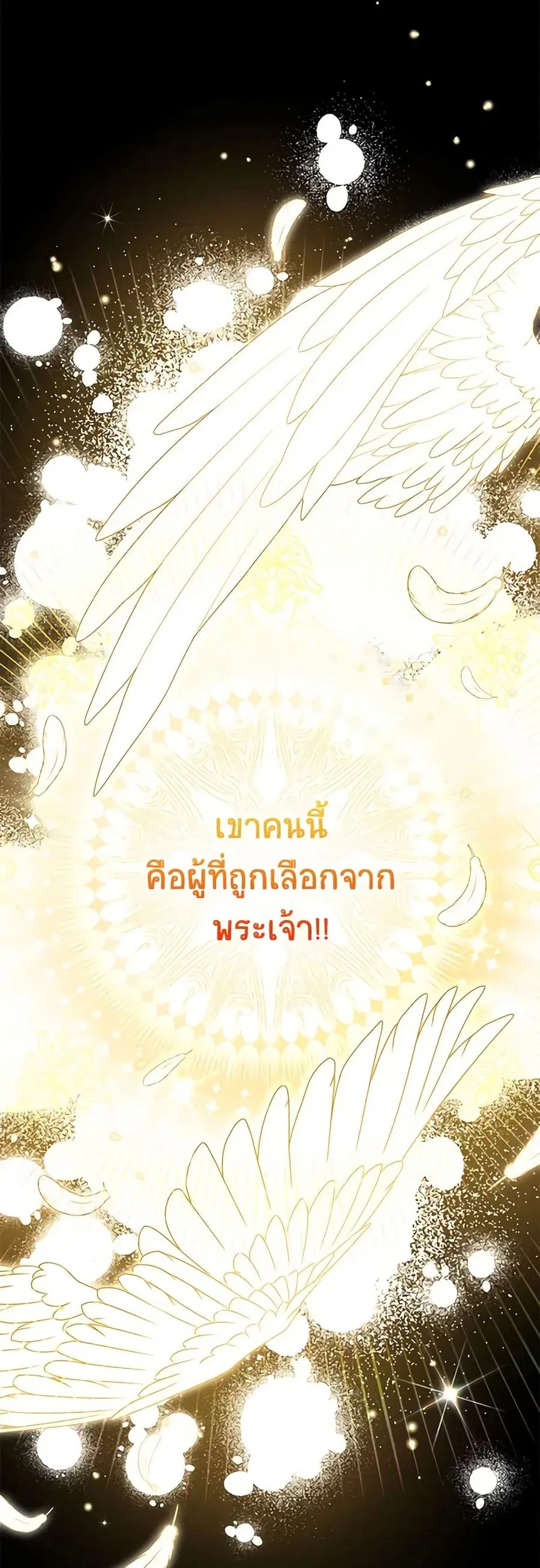 หน้า 25 จาก 52