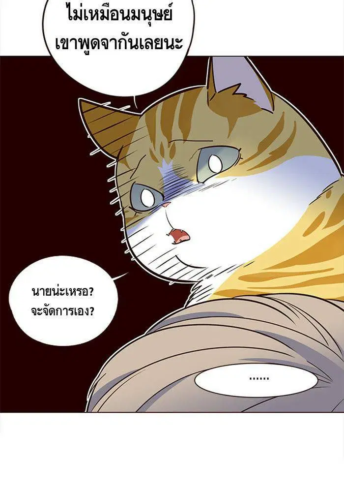 หน้า 43 จาก 98