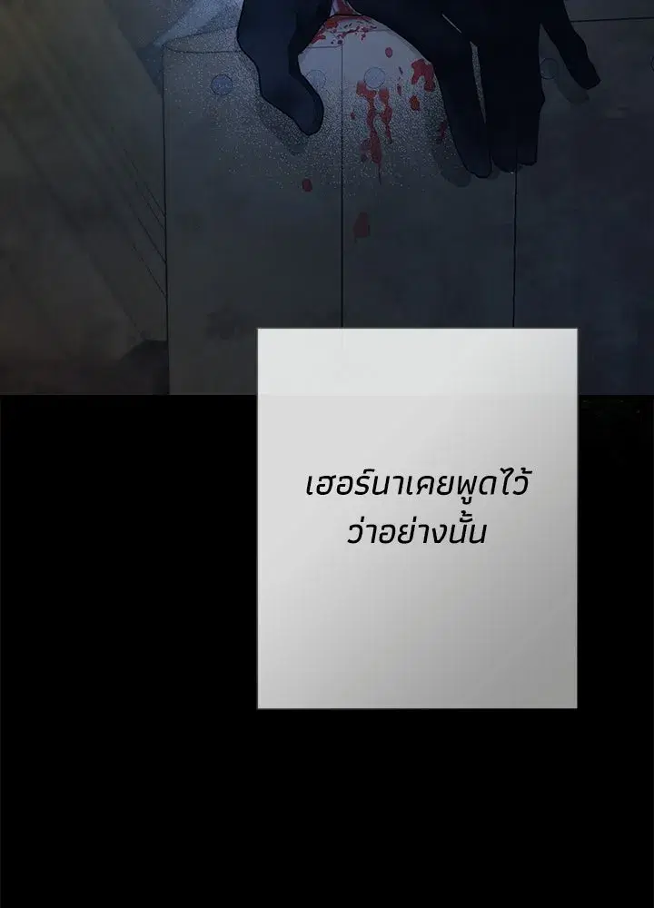 หน้า 97 จาก 177