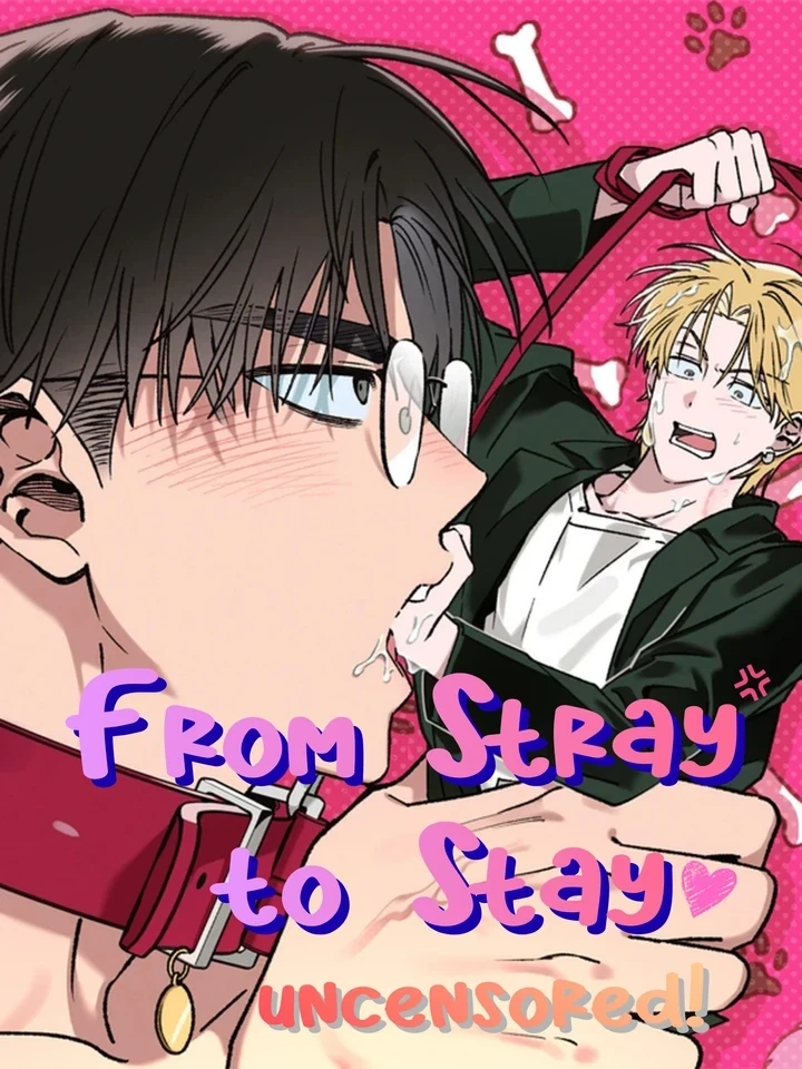 From Stray to Stay – ภารกิจฝึกนายหมาป่าให้เป็นมนุษย์