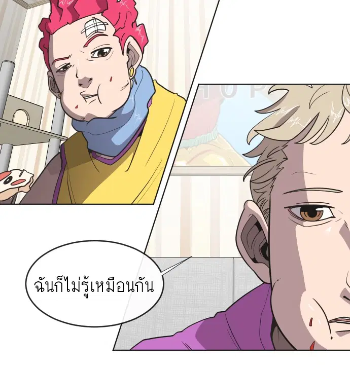 หน้า 37 จาก 126