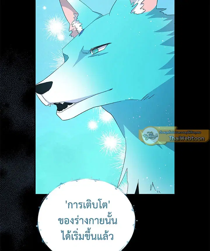 หน้า 41 จาก 109