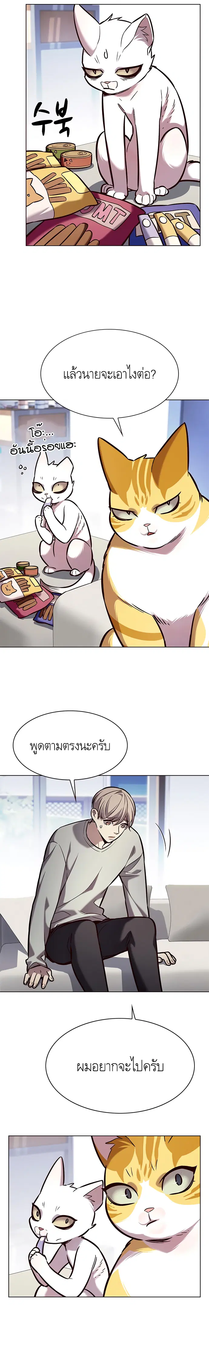 หน้า 13 จาก 26