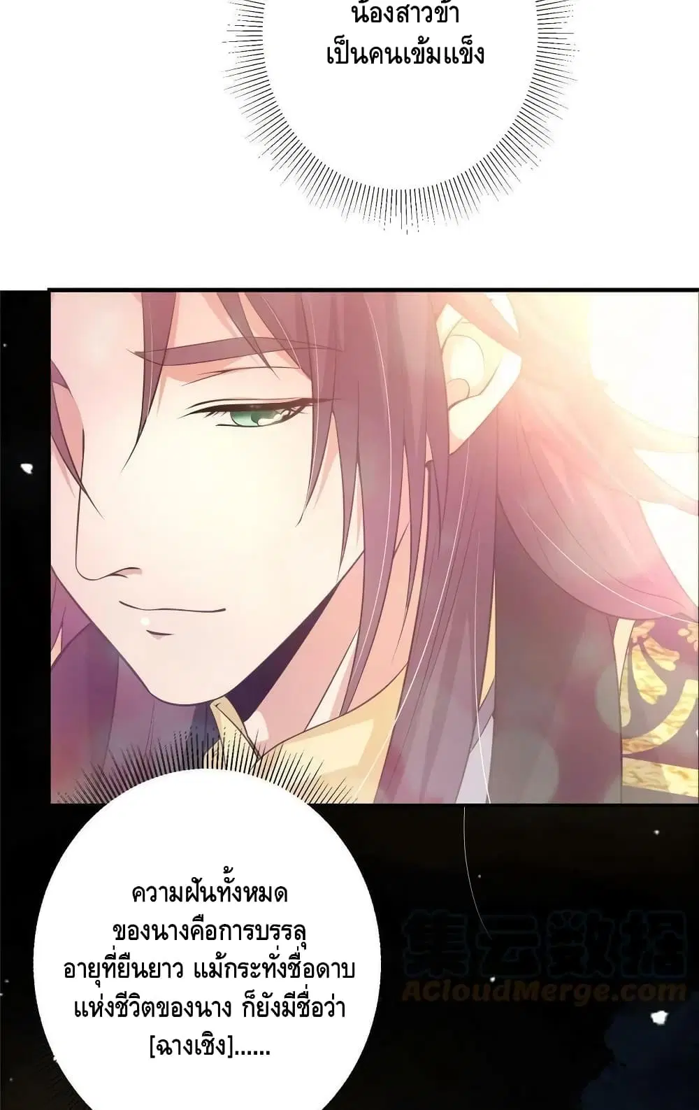หน้า 31 จาก 52
