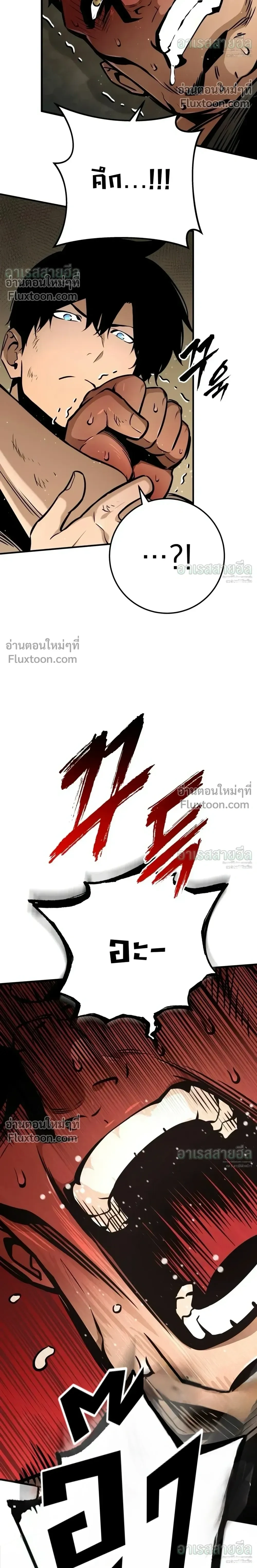 หน้า 5 จาก 38