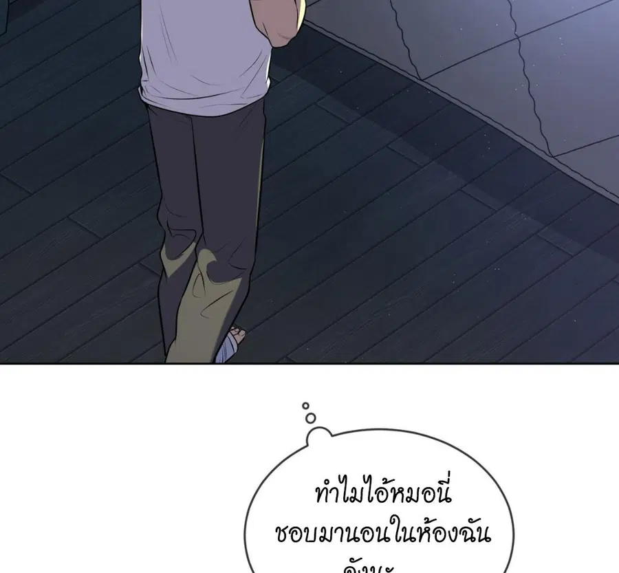 หน้า 149 จาก 190