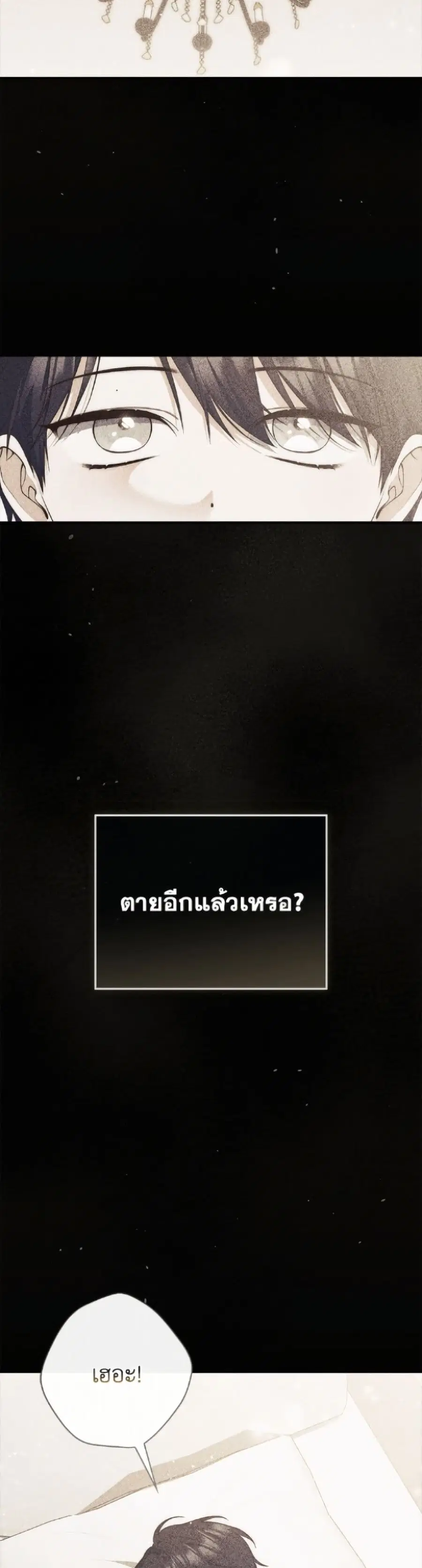 หน้า 3 จาก 52