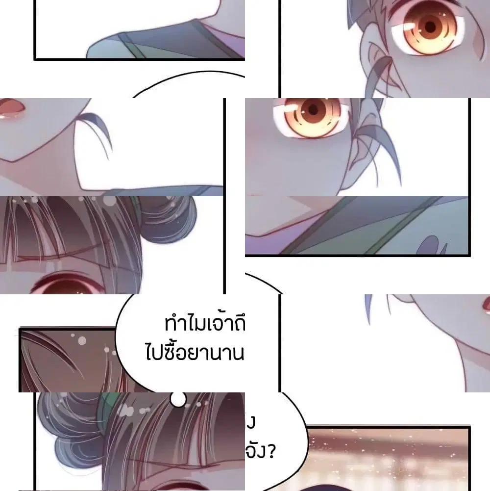 หน้า 11 จาก 14