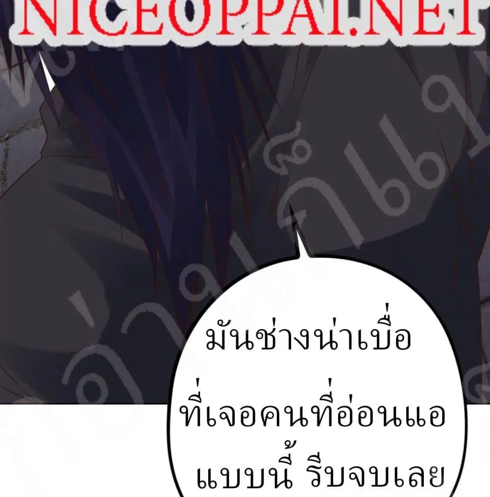 หน้า 24 จาก 42