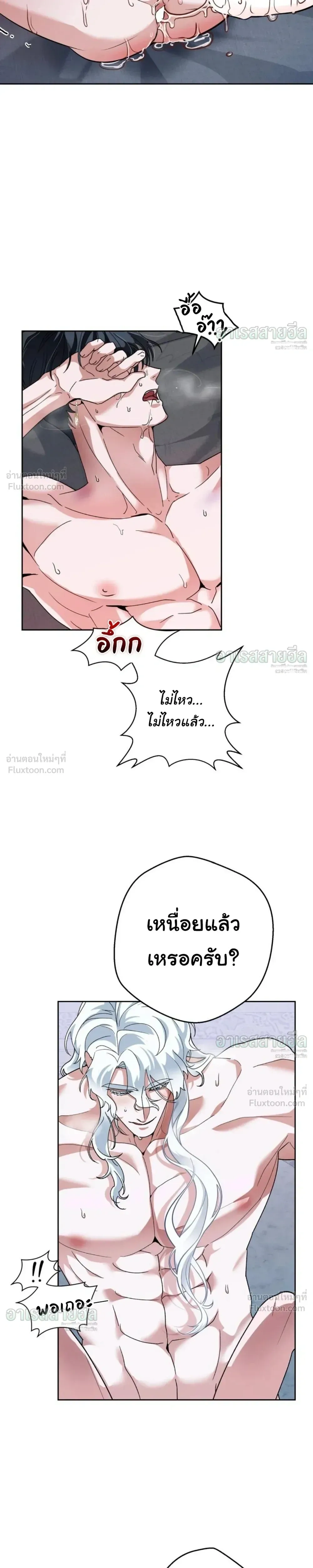 หน้า 13 จาก 31
