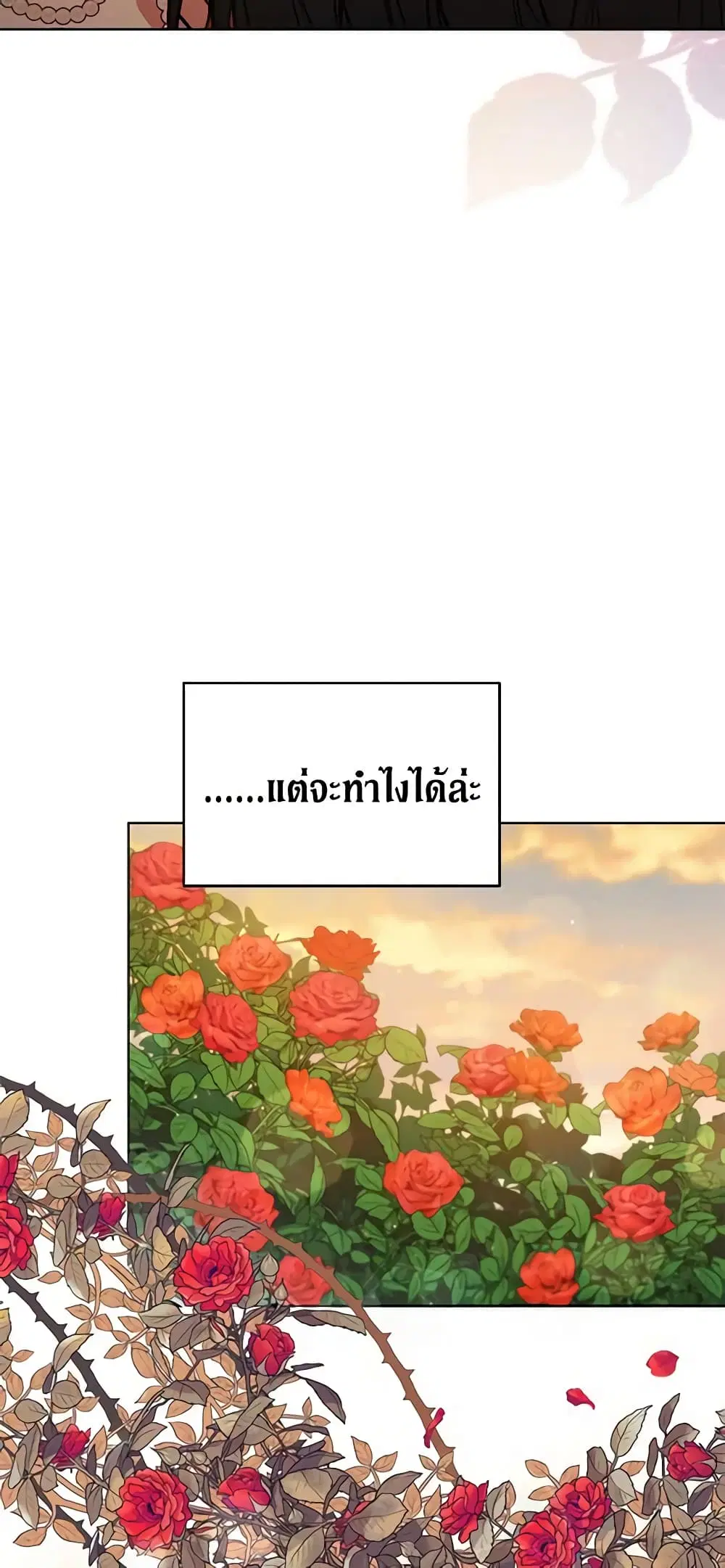 หน้า 38 จาก 41