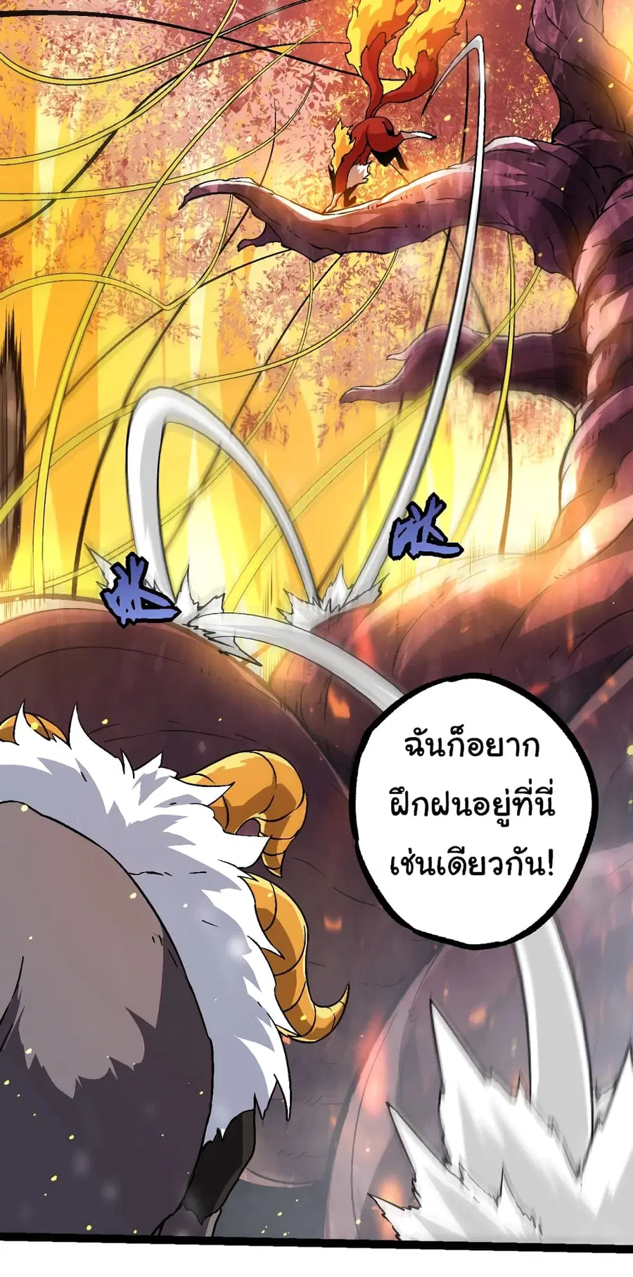 หน้า 14 จาก 51