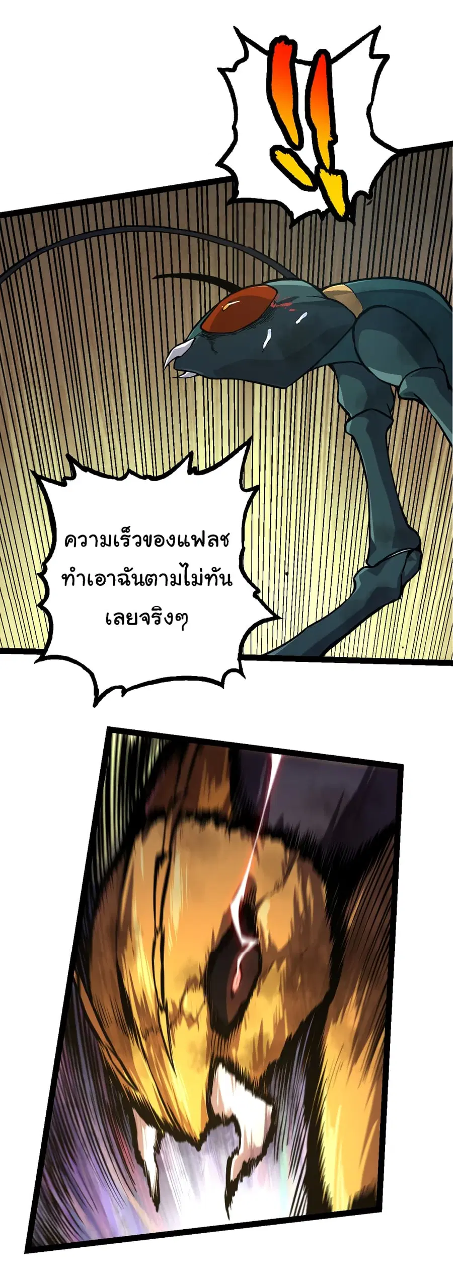 หน้า 6 จาก 43