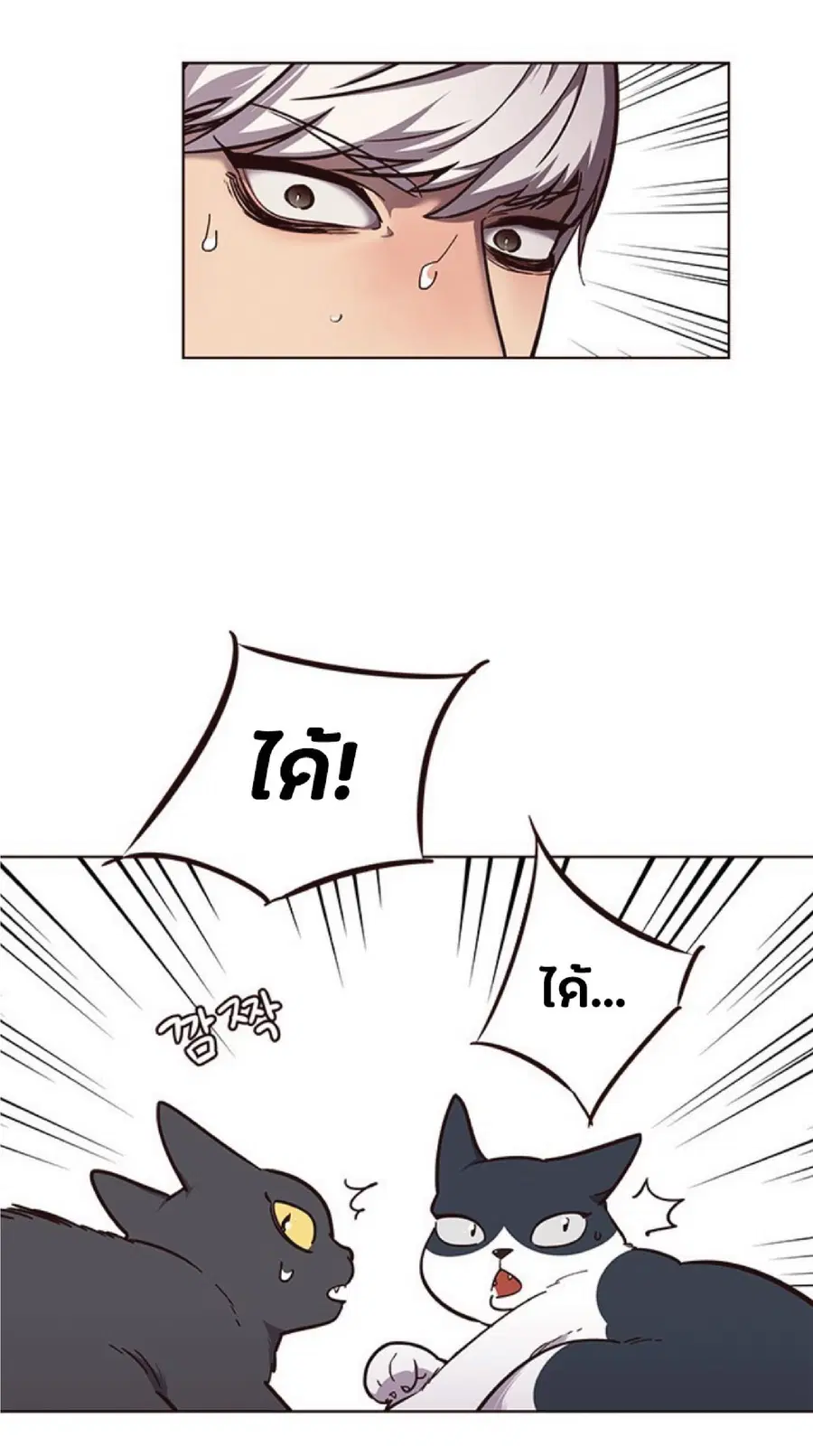 หน้า 16 จาก 80