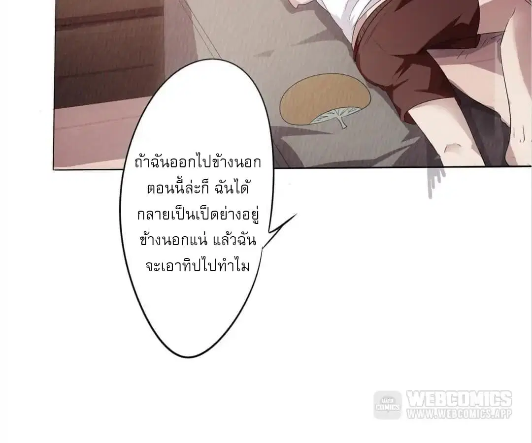 หน้า 39 จาก 172