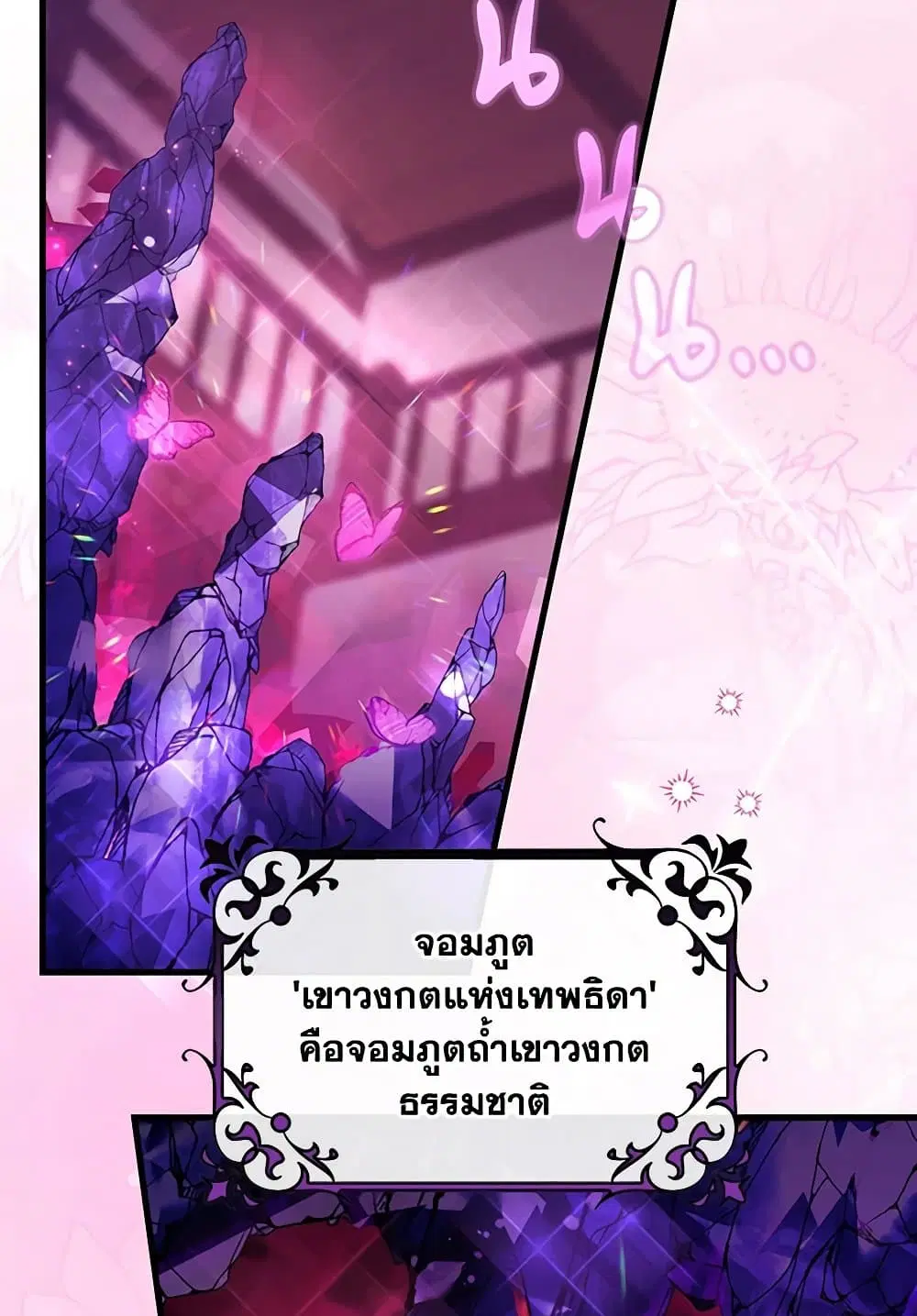 หน้า 31 จาก 81