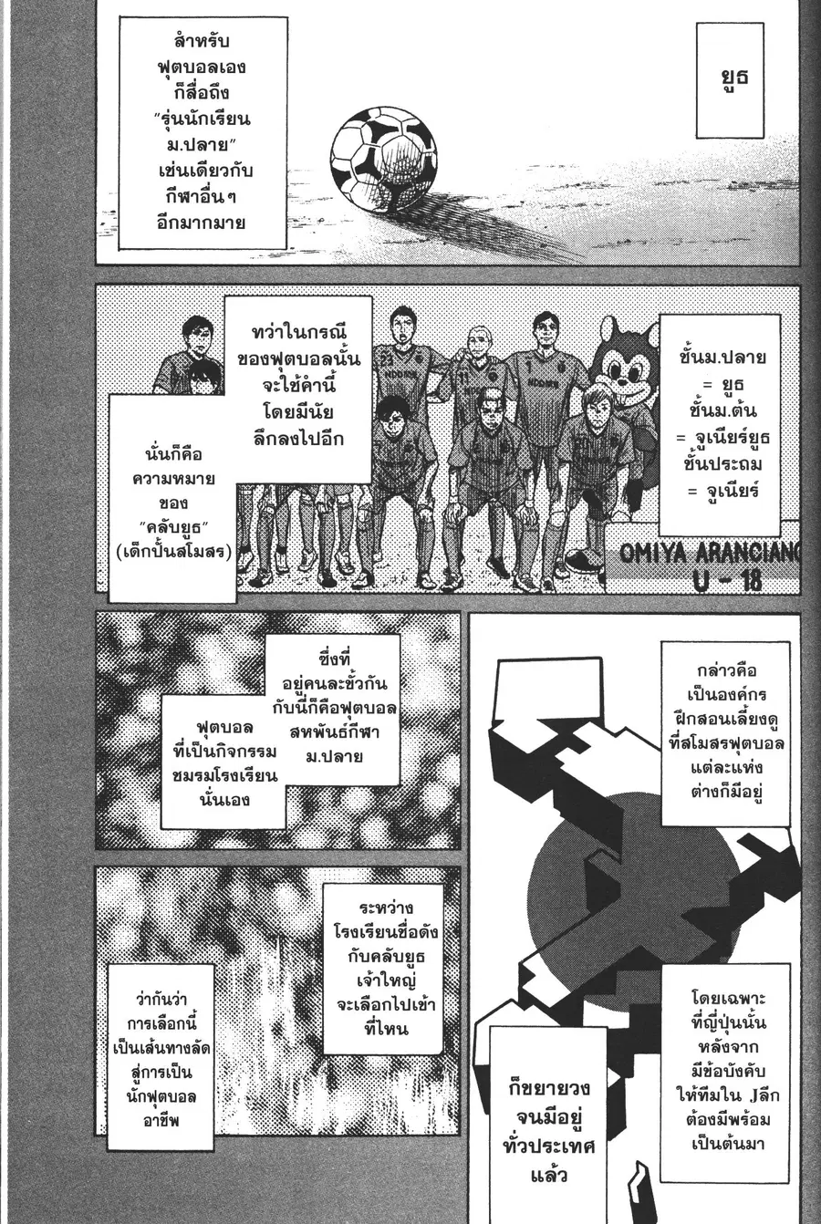 หน้า 4 จาก 43