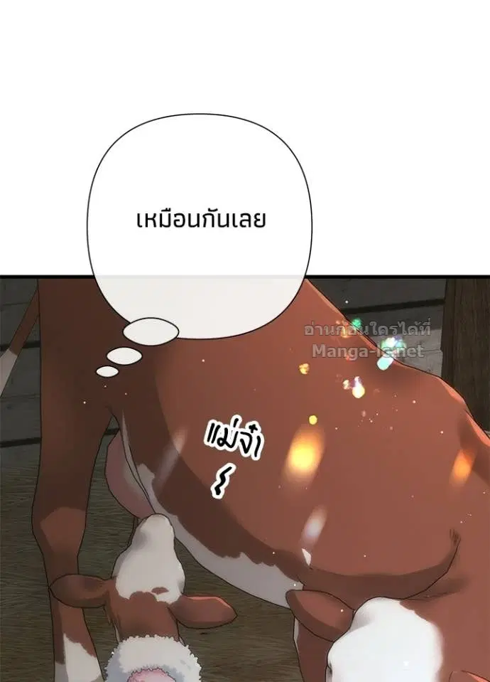 หน้า 29 จาก 126