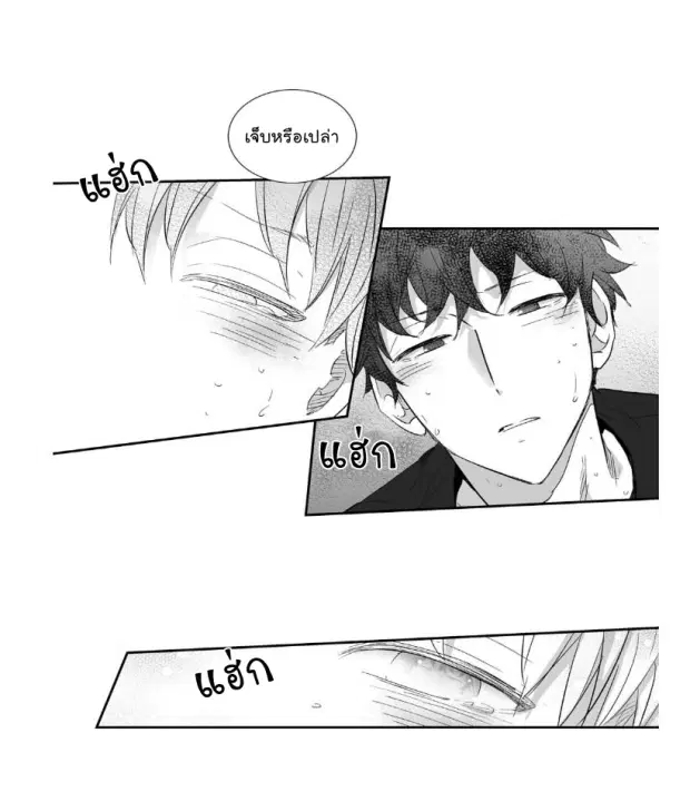 หน้า 26 จาก 41