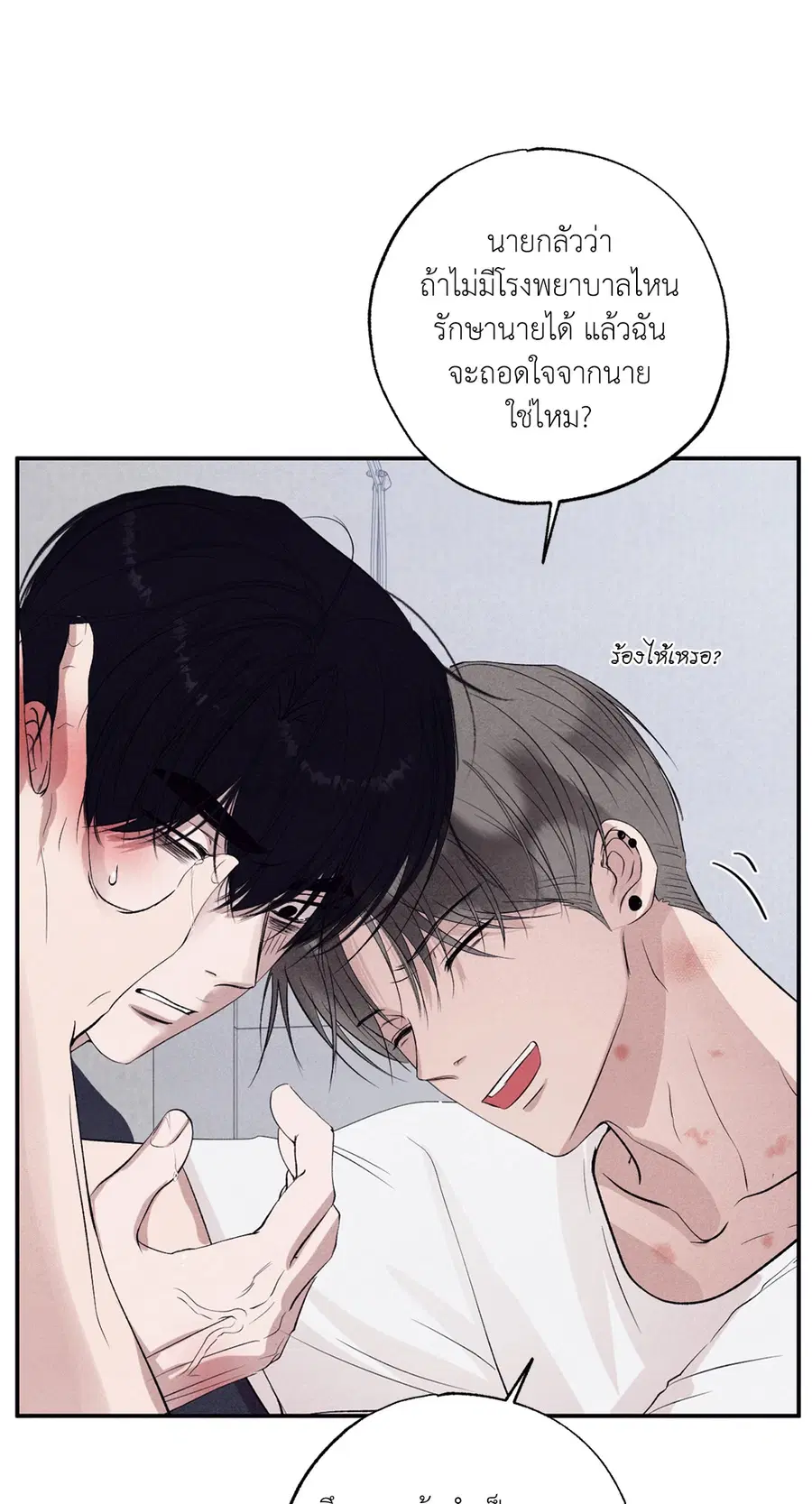 หน้า 20 จาก 97