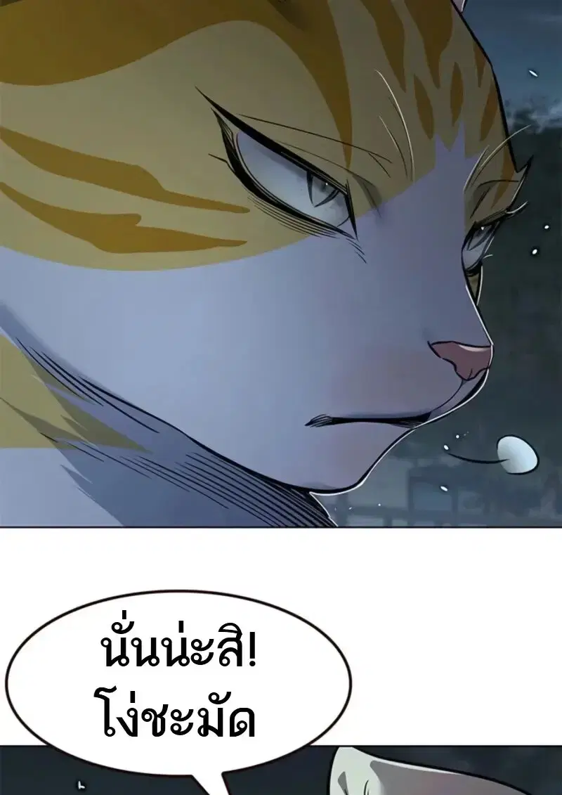 หน้า 181 จาก 185