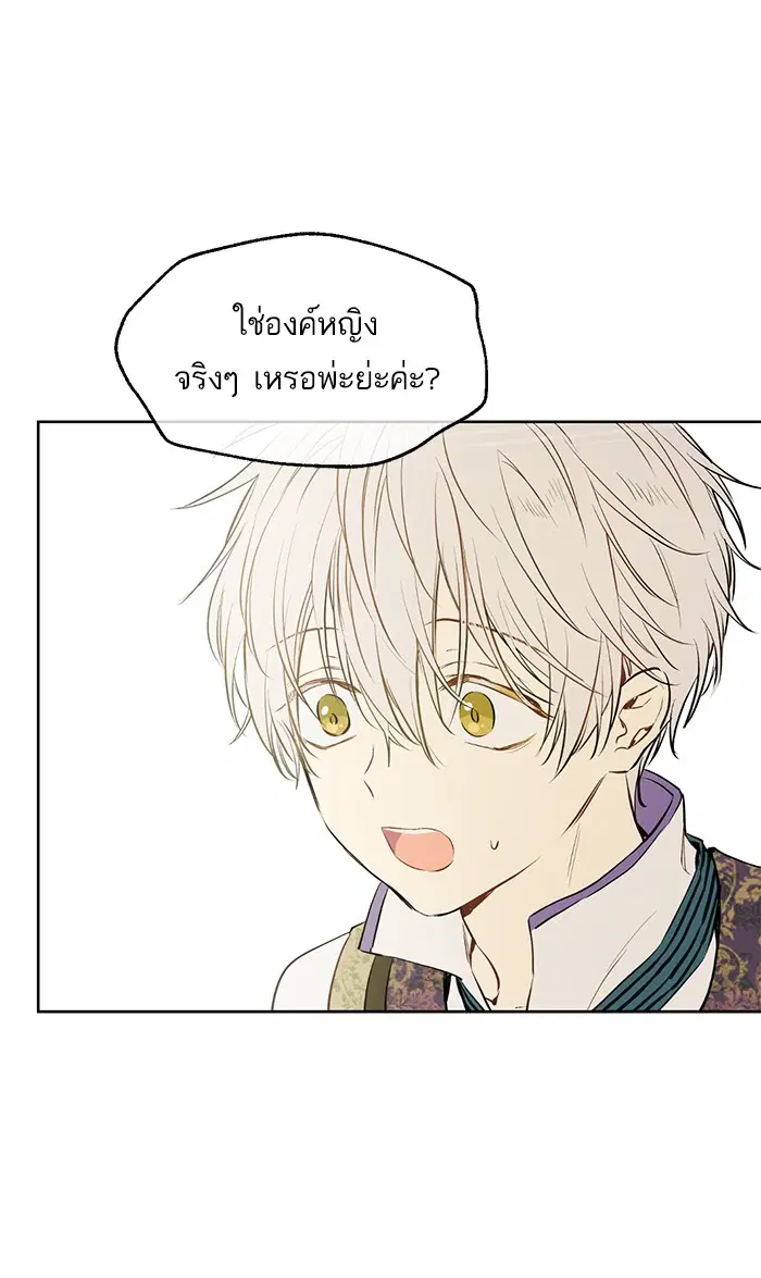 หน้า 42 จาก 81