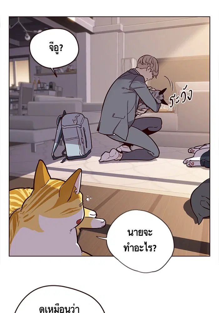 หน้า 65 จาก 111
