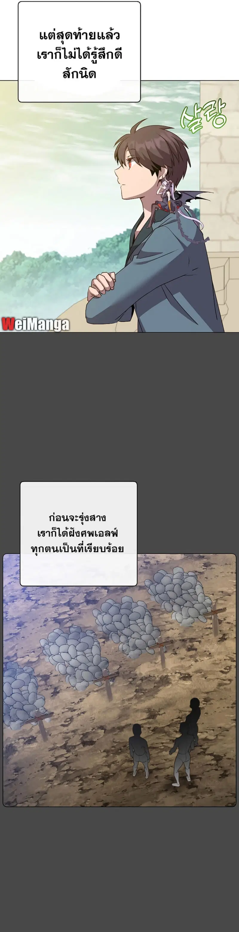 หน้า 26 จาก 41