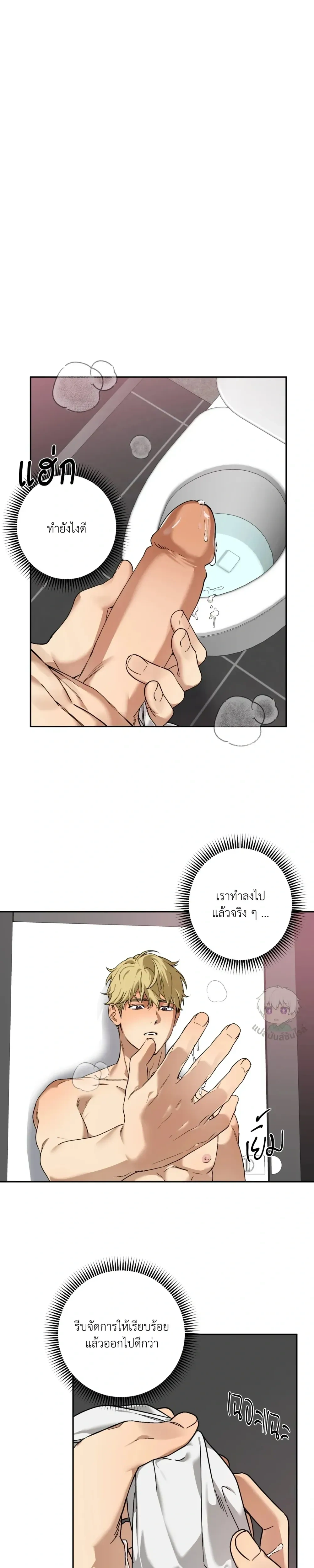 หน้า 5 จาก 21