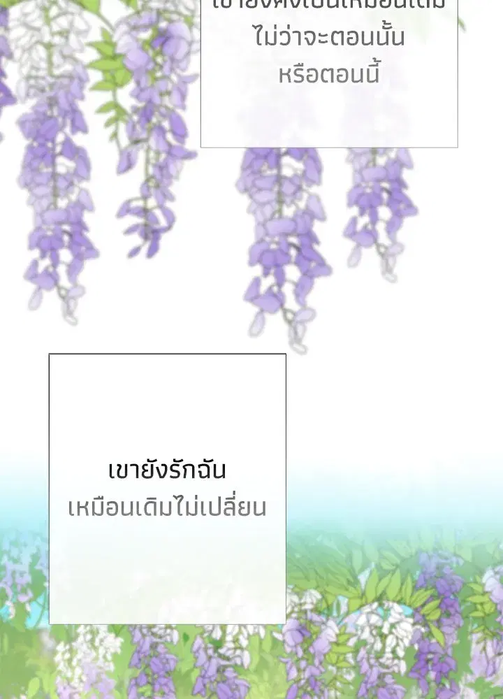 หน้า 52 จาก 150
