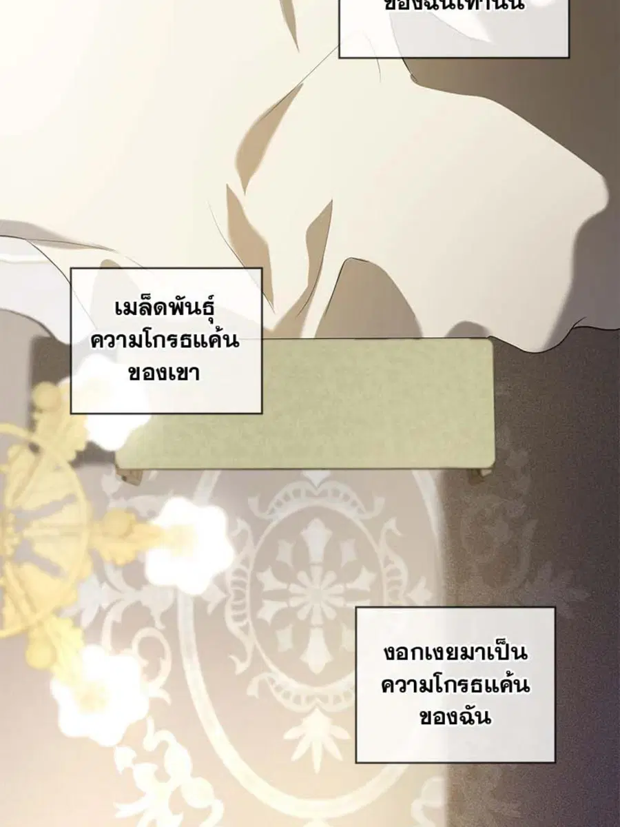 หน้า 30 จาก 114