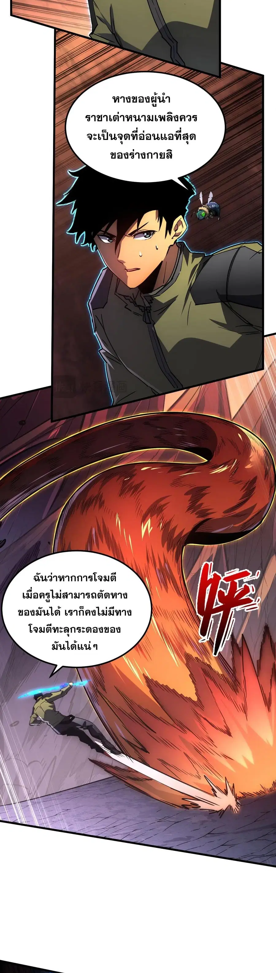 หน้า 17 จาก 30