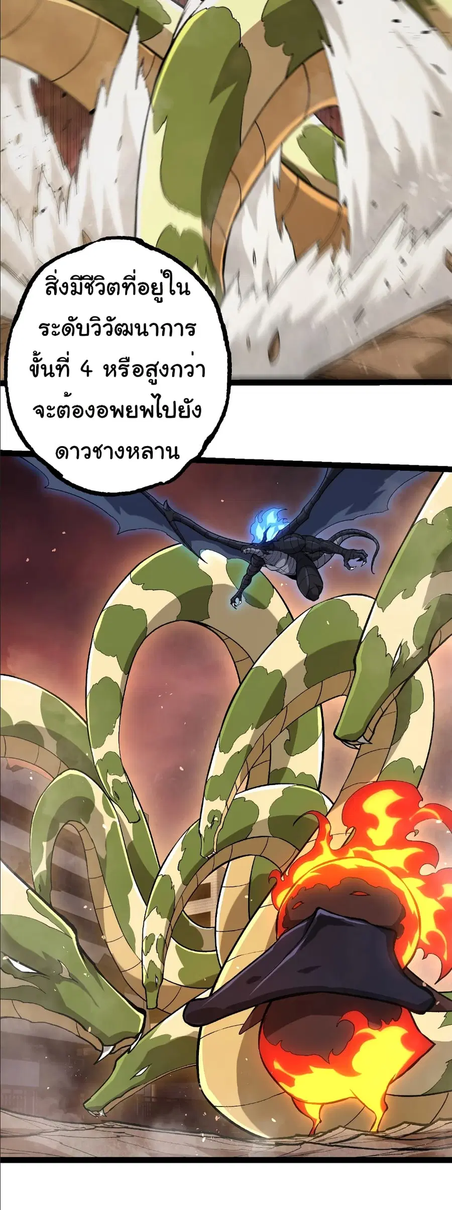 หน้า 14 จาก 28