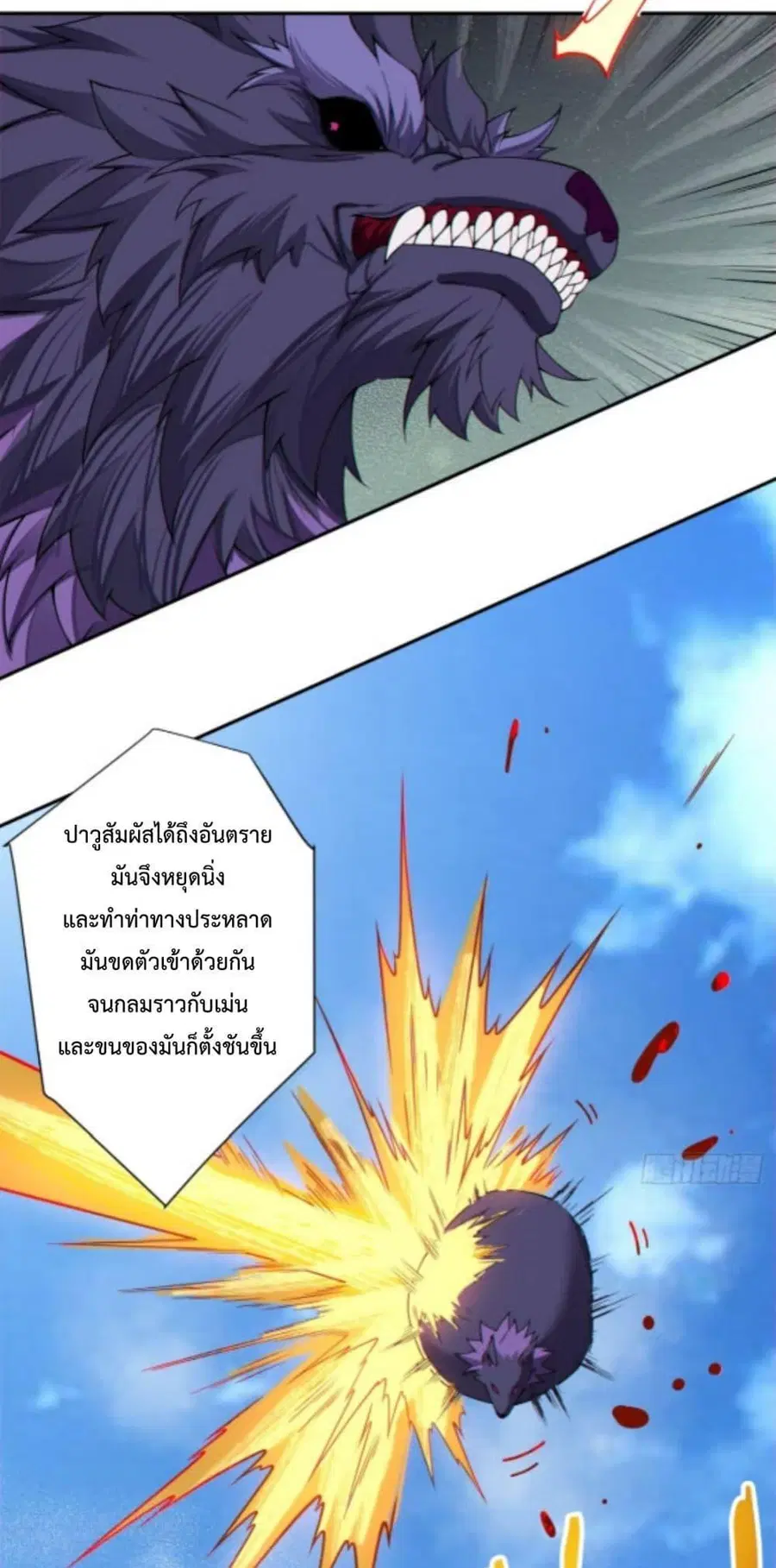 หน้า 22 จาก 52