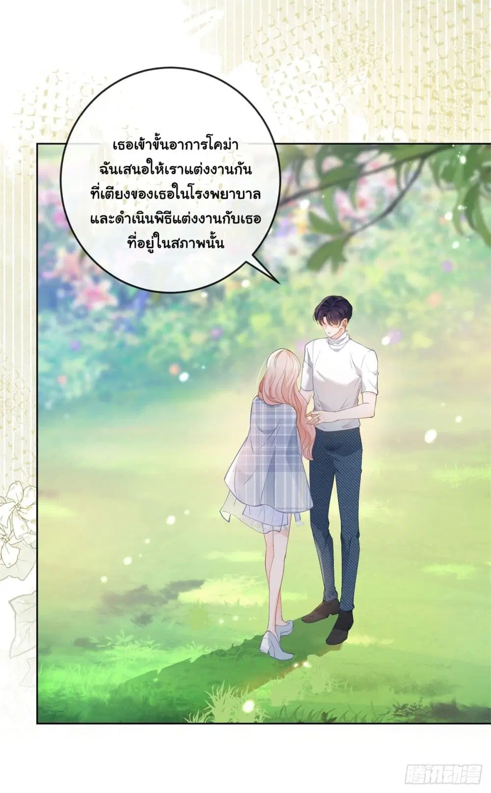 หน้า 24 จาก 42