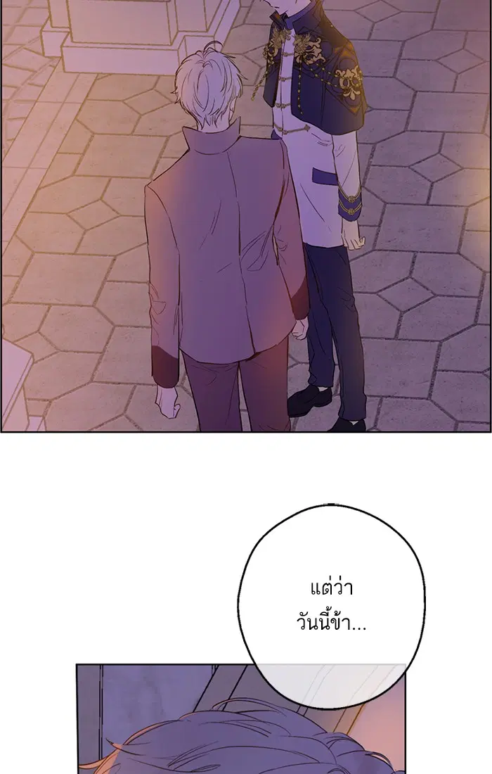 หน้า 42 จาก 61