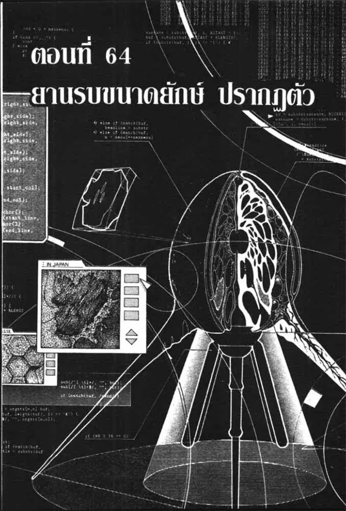 หน้า 11 จาก 29