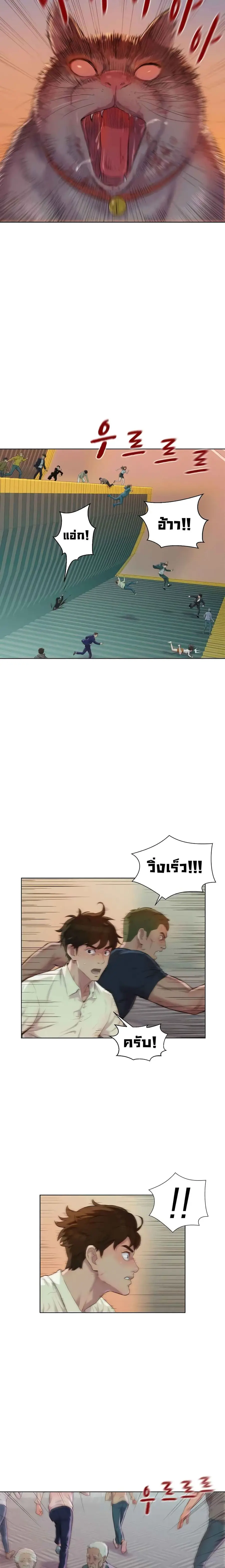 หน้า 6 จาก 58